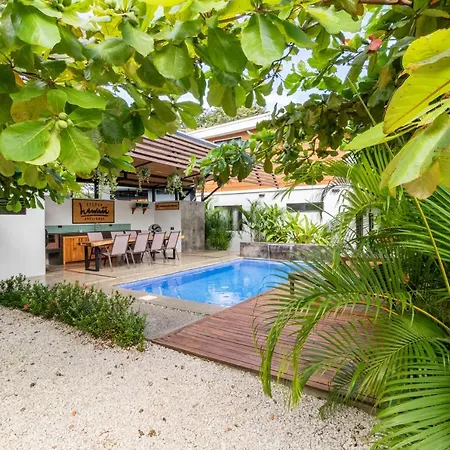 Little Hawaii Avellanas